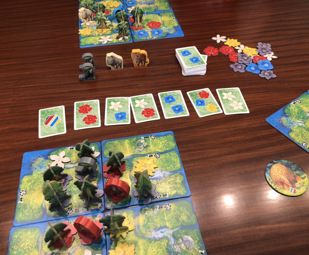 Spielauslage Hutan - Foto Ducksch